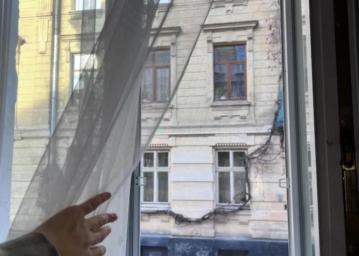 Iris On Popovich Leópolis